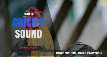Understanding the Unique Sounds of Chicks: A Comprehensive Guide