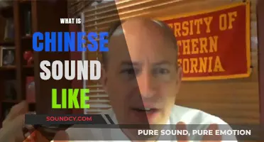 Exploring the Unique Tones and Melodies of Chinese Language Sounds