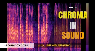 Understanding Chroma: The Colorful Essence of Sound Explained