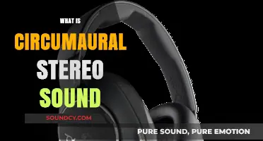 Understanding Circumaural Stereo Sound: Enhancing Audio Immersion and Quality