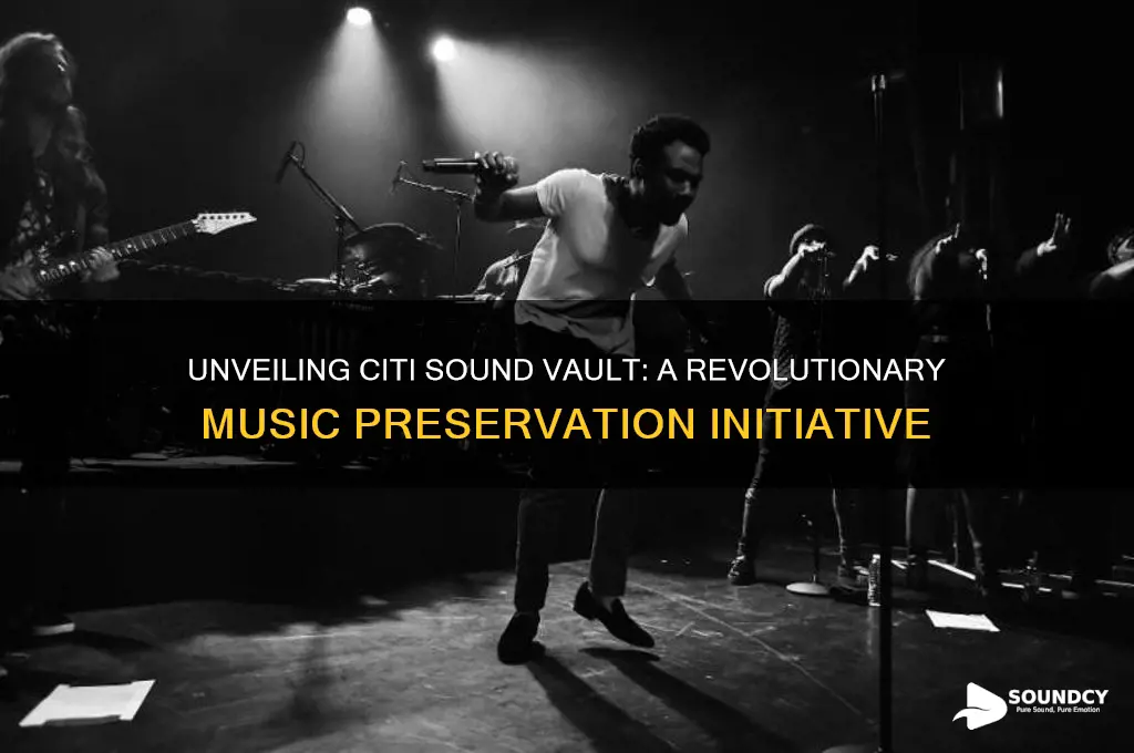 what is citi sound vault
