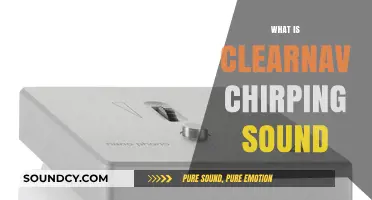 Understanding the Clearnav Chirping Sound: Causes and Solutions