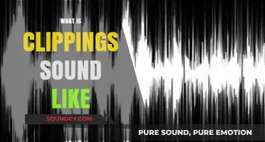 Unveiling the Unique Sonic Signature of Clipping Sounds Explained