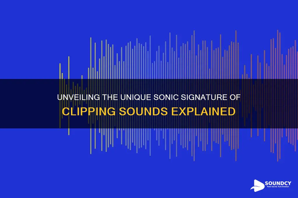 what is clippings sound like