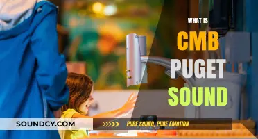 Understanding CMB Puget Sound: A Comprehensive Guide to Its Role and Impact