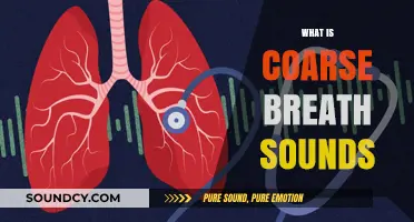Understanding Coarse Breath Sounds: Causes, Symptoms, and Diagnosis Explained