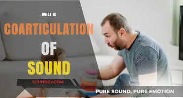 Understanding Coarticulation: How Sounds Blend in Speech Production