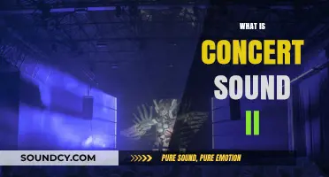 Exploring Concert Sound II: Advanced Techniques for Immersive Audio Experiences