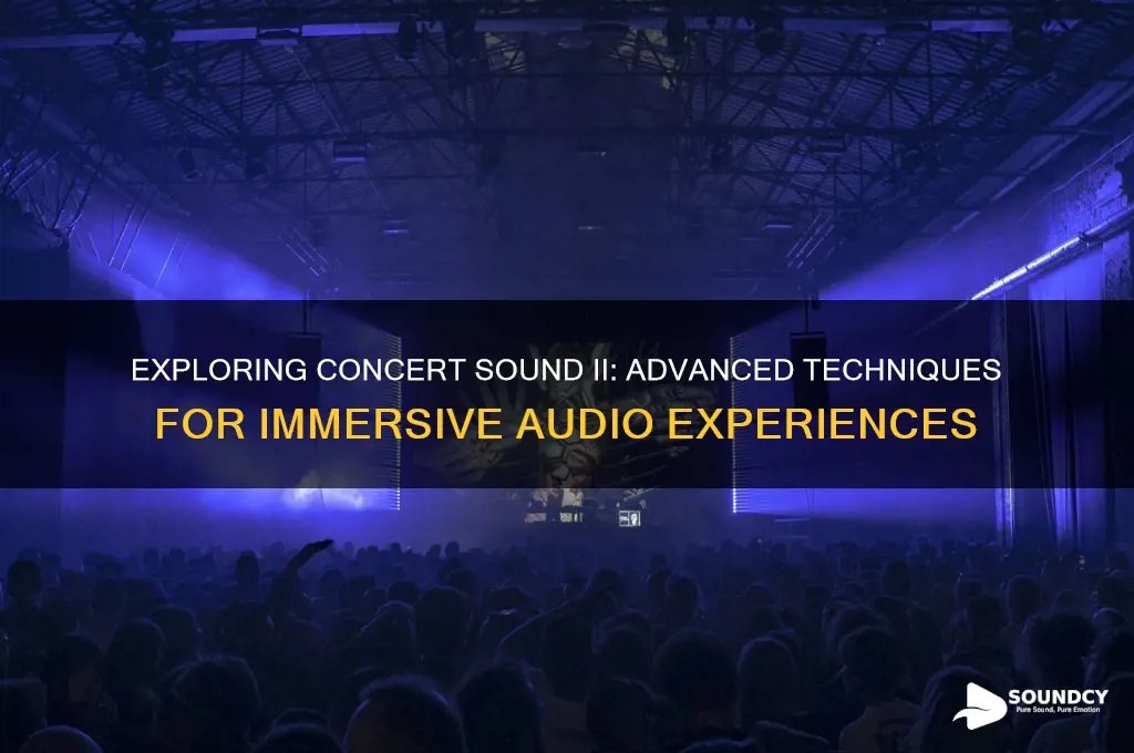 what is concert sound ii