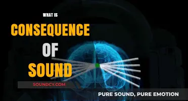 Exploring the Far-Reaching Impacts and Consequences of Sound Waves