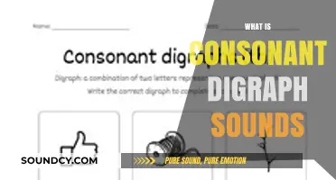 Understanding Consonant Digraph Sounds: A Comprehensive Guide for Beginners