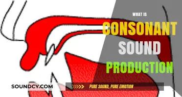 Understanding Consonant Sound Production: Techniques, Mechanics, and Articulation