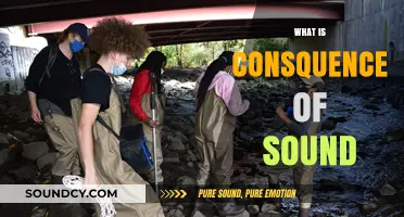 Exploring the Far-Reaching Consequences of Sound on Life and Environment