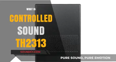 Understanding Controlled Sound TH2313: A Comprehensive Guide to Its Technology