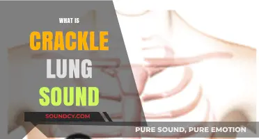 Understanding Crackle Lung Sounds: Causes, Symptoms, and Treatment Explained