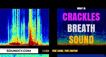 Understanding Crackles: Decoding Abnormal Breath Sounds and Their Clinical Significance