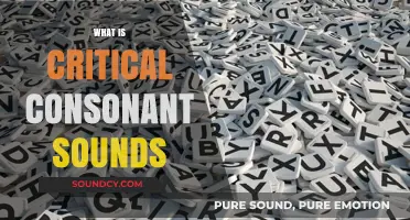 Understanding Critical Consonant Sounds: A Comprehensive Guide to Articulation