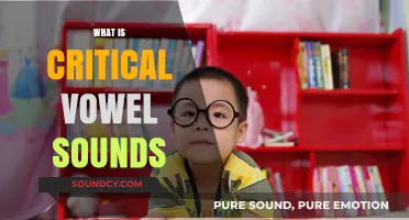 Understanding Critical Vowel Sounds: Key to Clear and Effective Communication