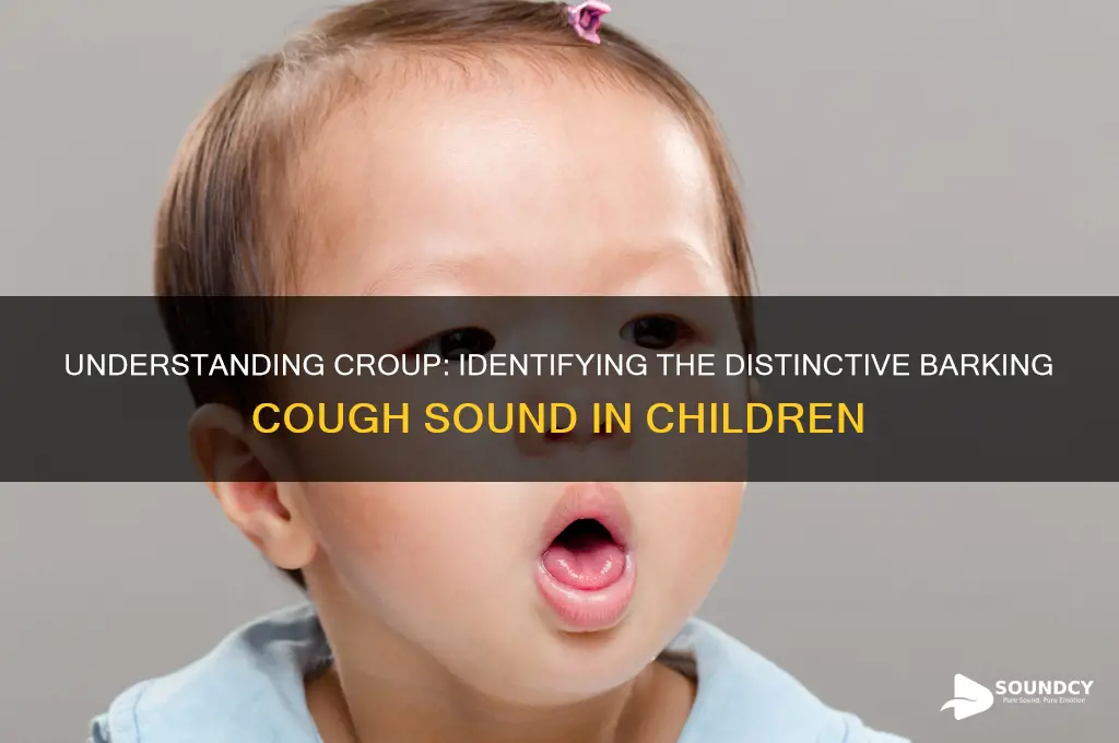 what is croup sound like