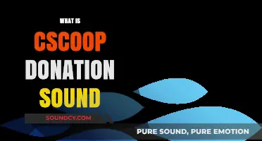 Understanding the CScoop Donation Sound: Purpose, Impact, and How It Works