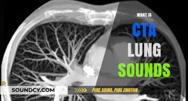Understanding CTA Lung Sounds: Causes, Symptoms, and Diagnostic Insights