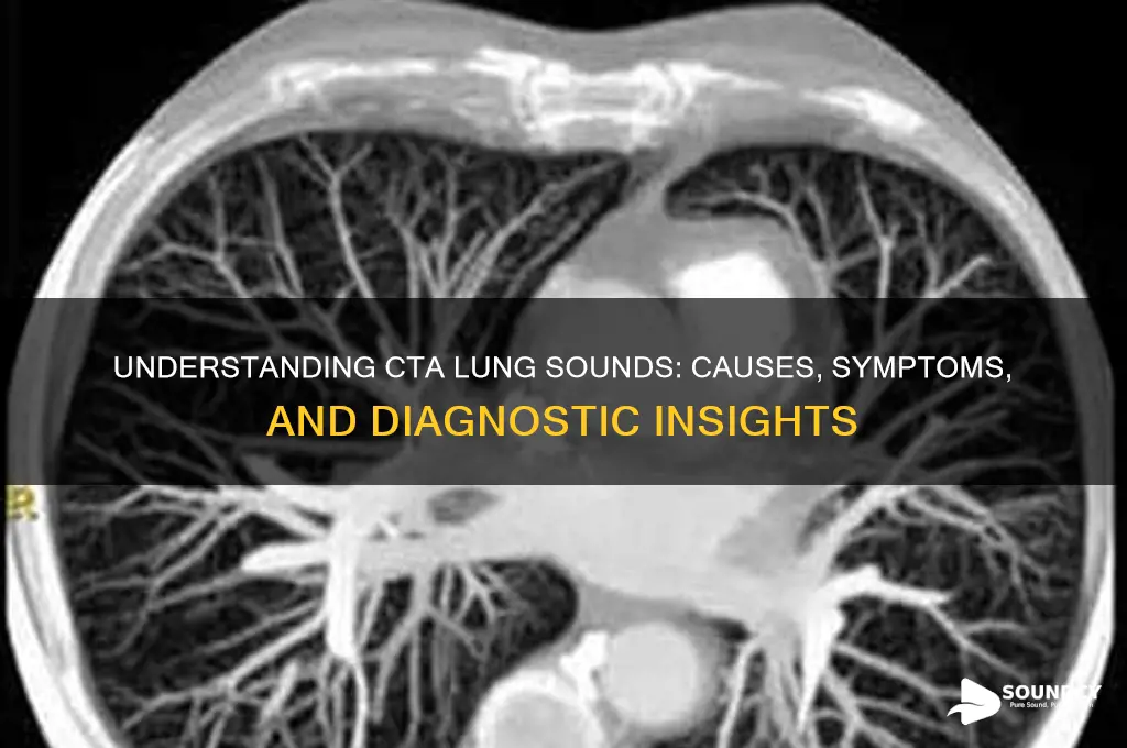 what is cta lung sounds
