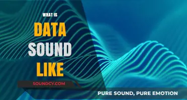 Decoding Data's Symphony: Exploring the Audible World of Information