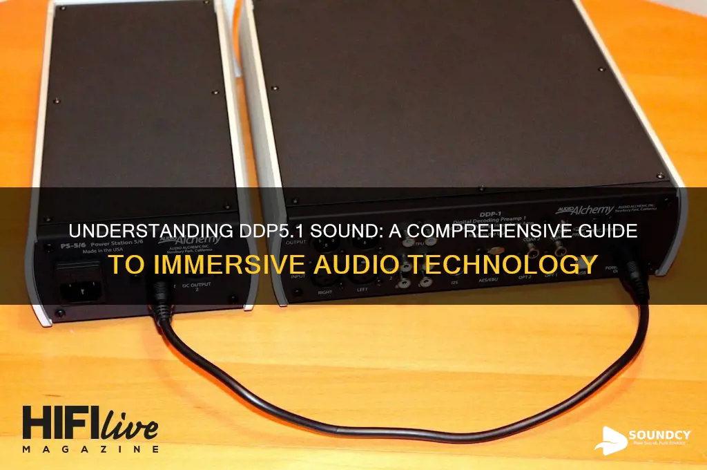 what is ddp5 1 sound