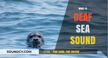 Unveiling the Mystery: Understanding the Phenomenon of Deaf Sea Sound