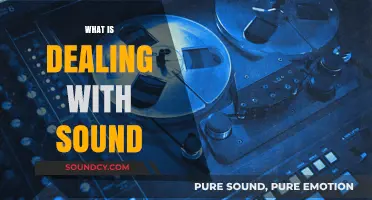 Mastering Sound: Understanding, Managing, and Enhancing Audio Experiences