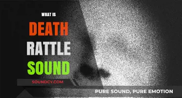 Understanding the Death Rattle: What It Sounds Like and Means