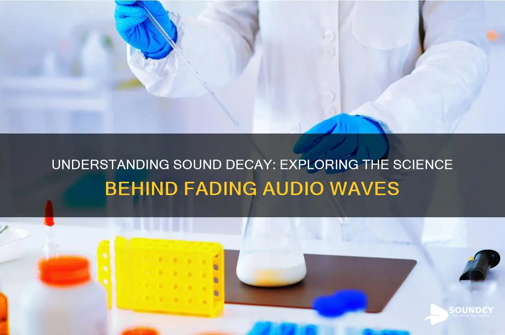 what is decay in sound