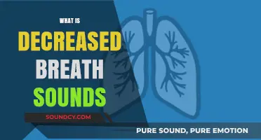 Understanding Decreased Breath Sounds: Causes, Symptoms, and Diagnosis Explained