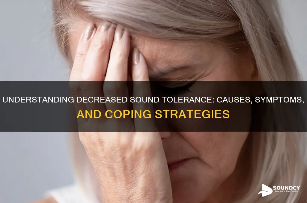 what is decreased sound tolerance