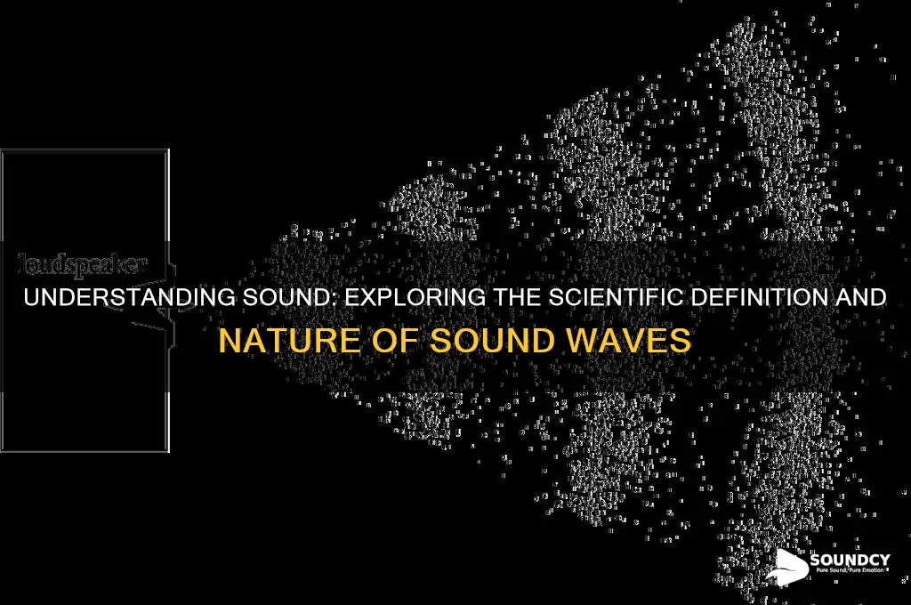 what is definition of sound