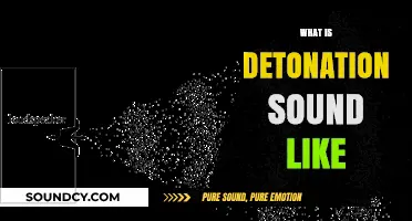 Understanding Detonation: What Does a Detonation Sound Like?