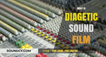 Understanding Diegetic Sound: Its Role and Impact in Filmmaking