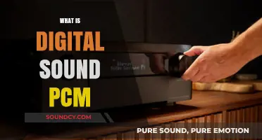 Understanding Digital Sound: A Comprehensive Guide to PCM Technology