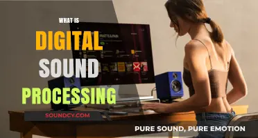 Exploring Digital Sound Processing: Transforming Audio in the Digital Age