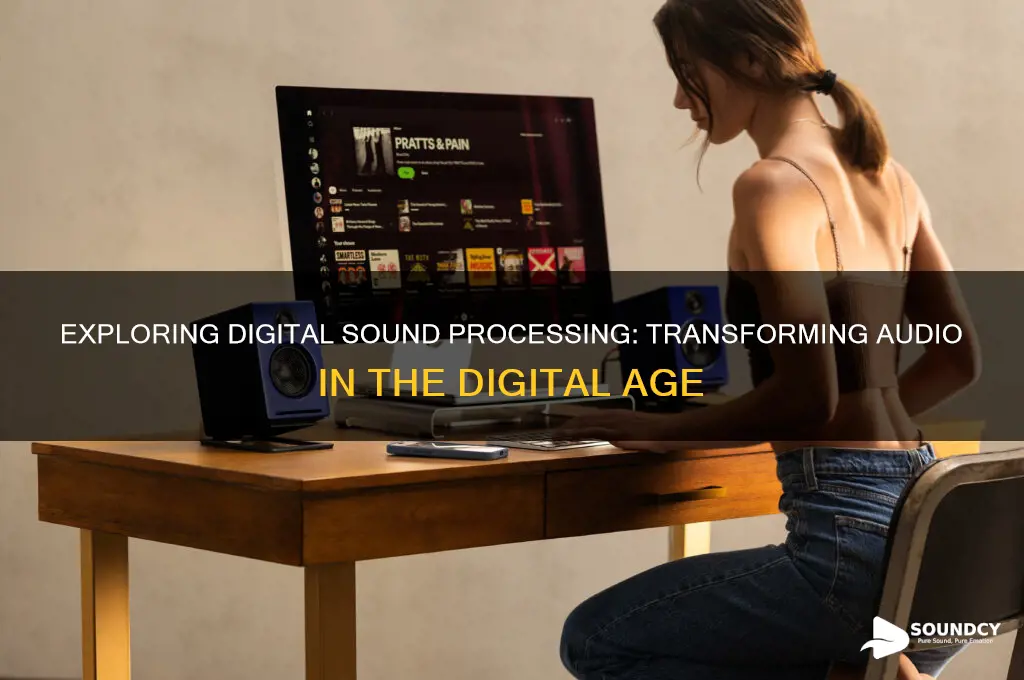 what is digital sound processing