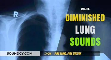 Understanding Diminished Lung Sounds: Causes, Symptoms, and Diagnostic Insights