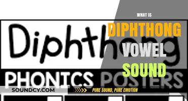 Understanding Diphthong Vowel Sounds: Definition, Examples, and Pronunciation Guide