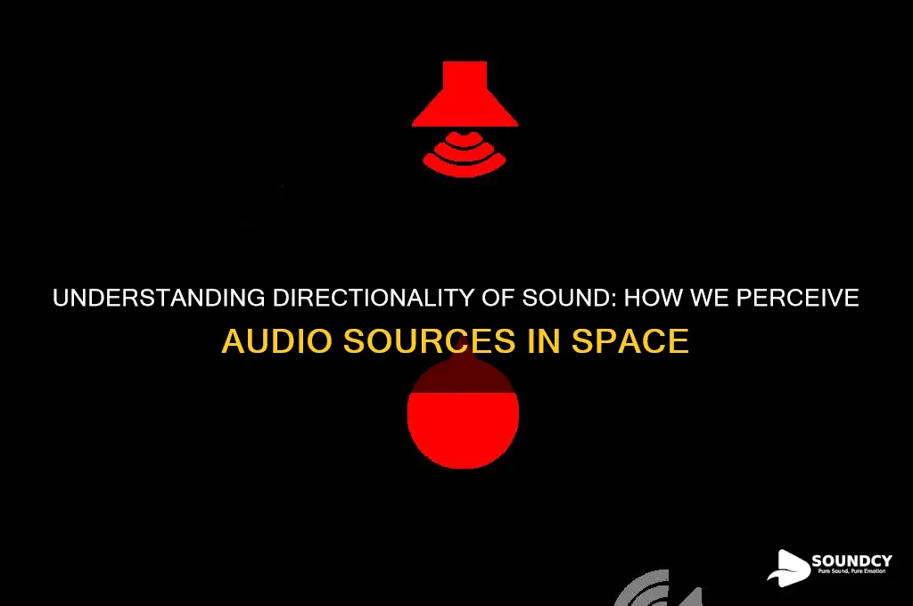 what is directionality of sound