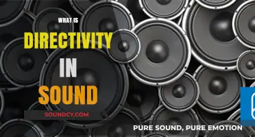 Understanding Directivity in Sound: How Speakers Shape Audio Perception