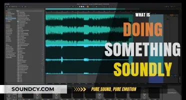 Mastering Sound Actions: Understanding the Art of Doing Things Soundly