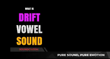 Understanding Drift Vowel Sounds: Definition, Examples, and Linguistic Impact