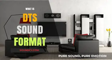 Understanding DTS Sound Format: Features, Benefits, and Applications Explained