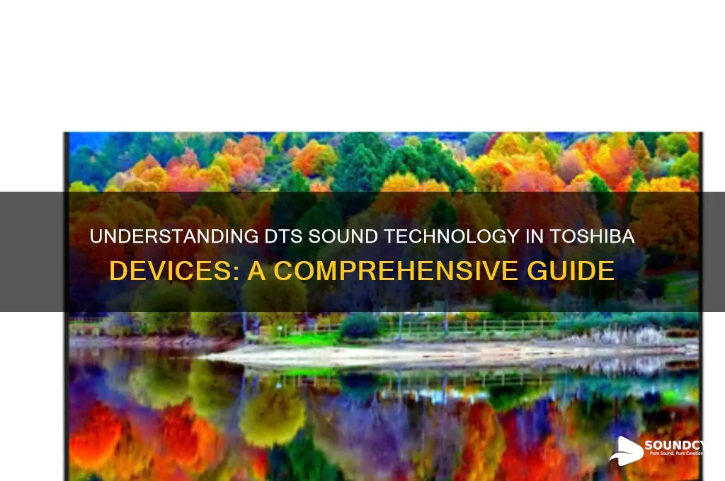 what is dts sound toshiba