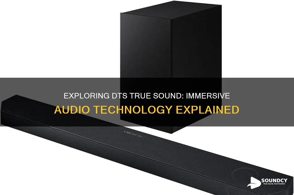 what is dts true sound