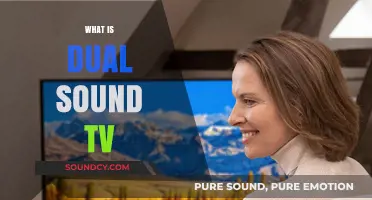 Understanding Dual Sound TV: Enhancing Your Audio Experience at Home